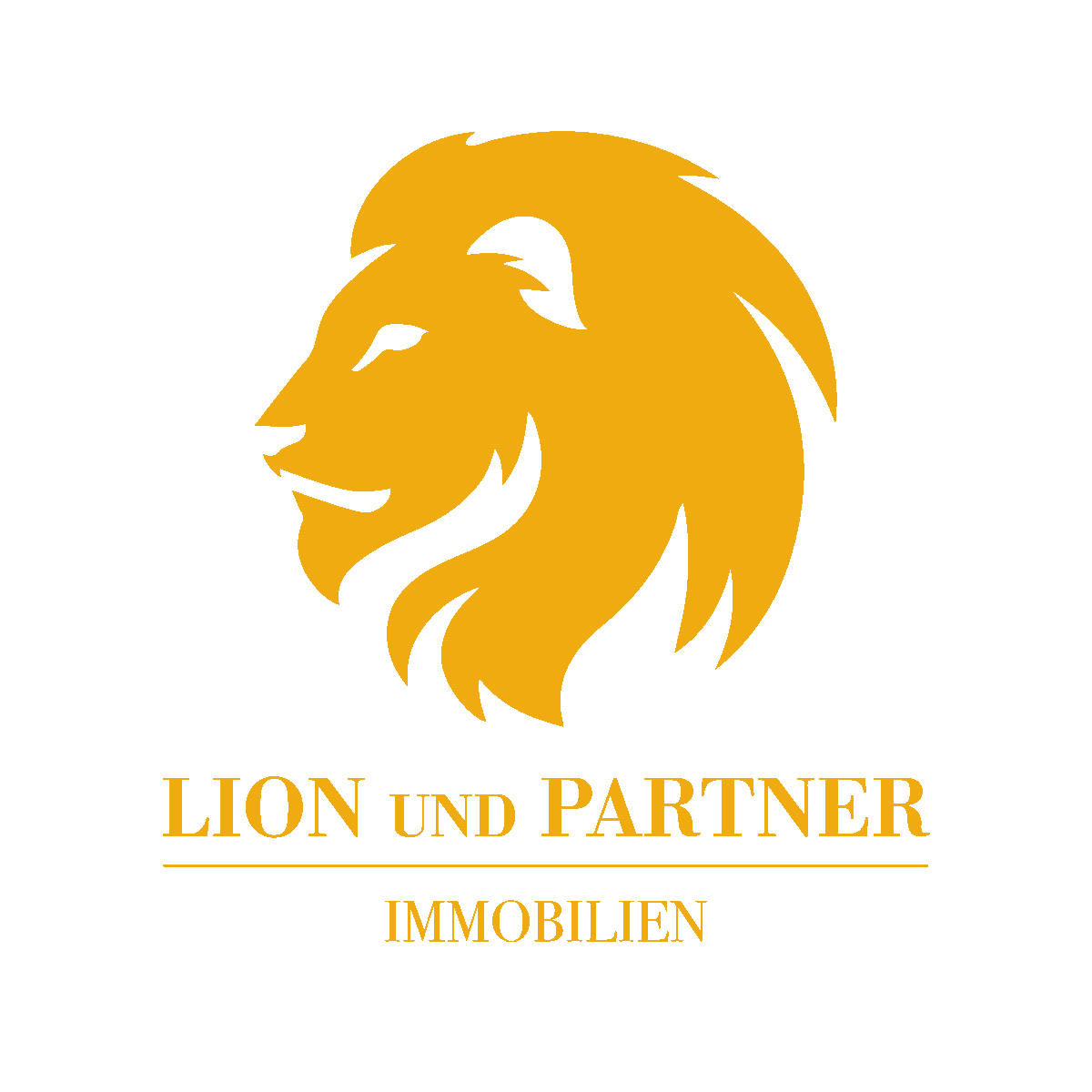 Lion und Partner GmbH