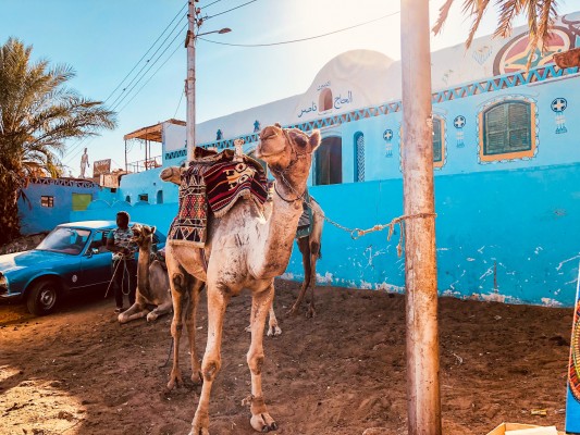 Investir dans l’immobilier Marocain