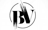 BV COMPANY Logo
